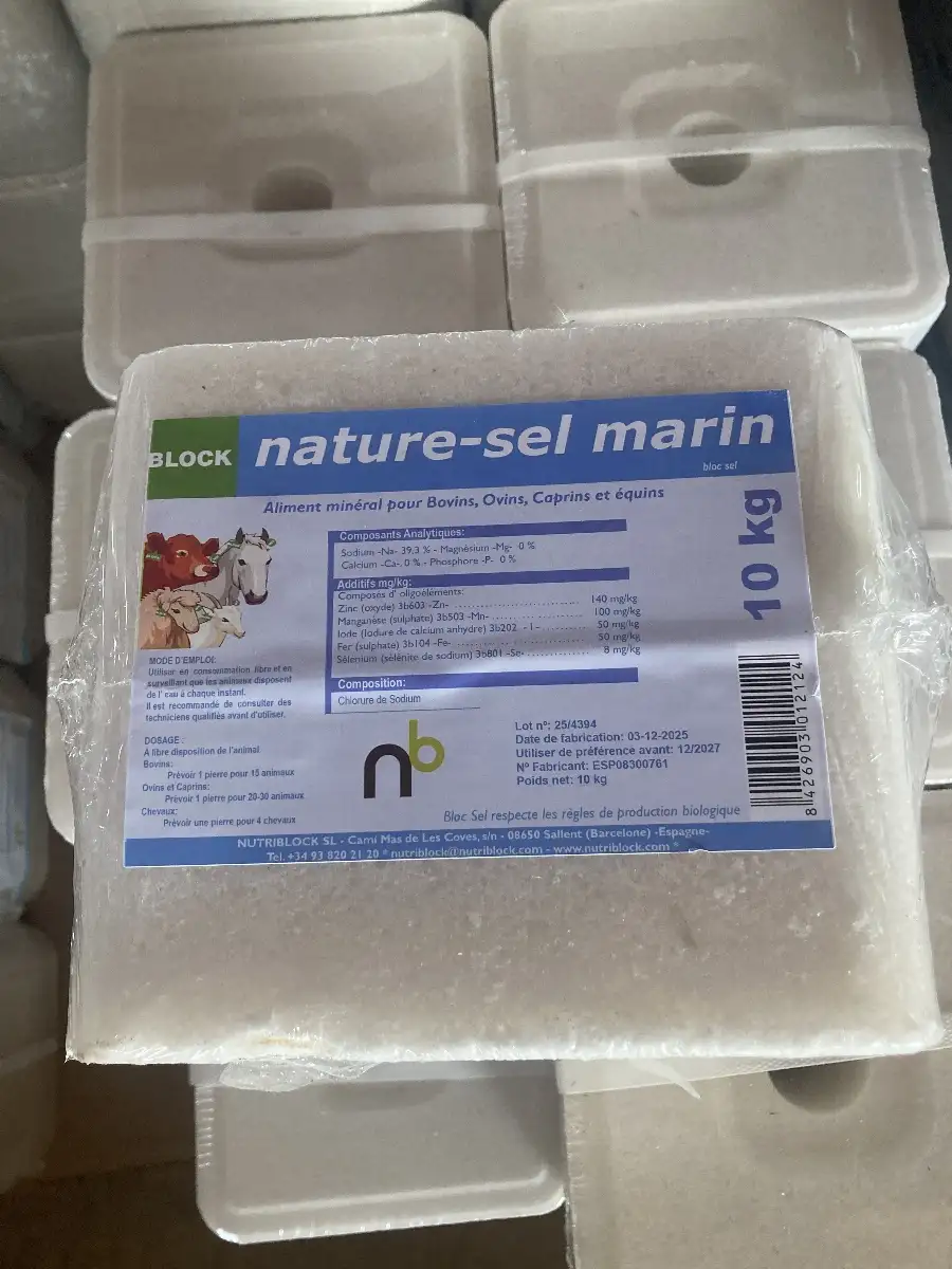 Bloc sel marin 10KG