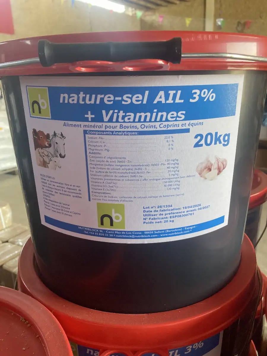 Seau ail 20KG