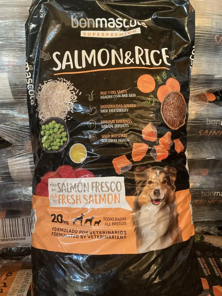 Salmon et rice